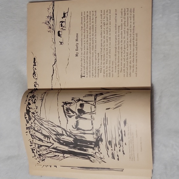 Anna Sewell's Black Beauty - Picture 6 of 9